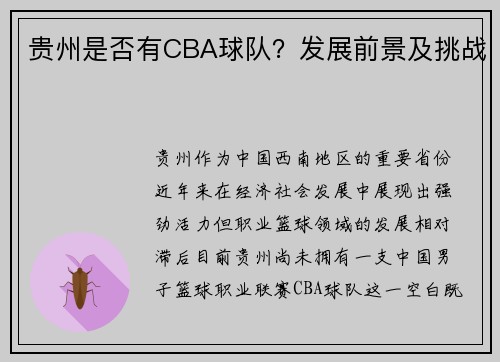 贵州是否有CBA球队？发展前景及挑战